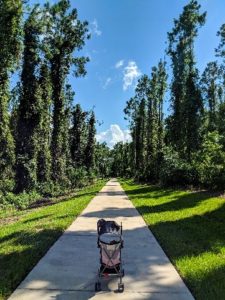 A nature walk with baby