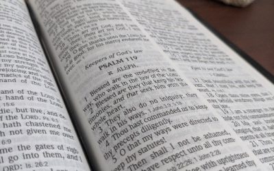 How to Get the Most Out of Your Bible