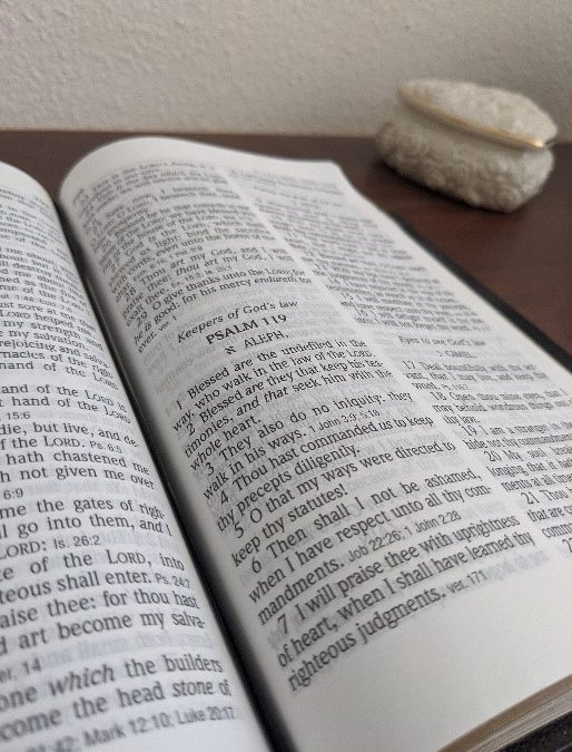 How to Get the Most Out of Your Bible