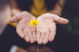 Offering Up a Flower